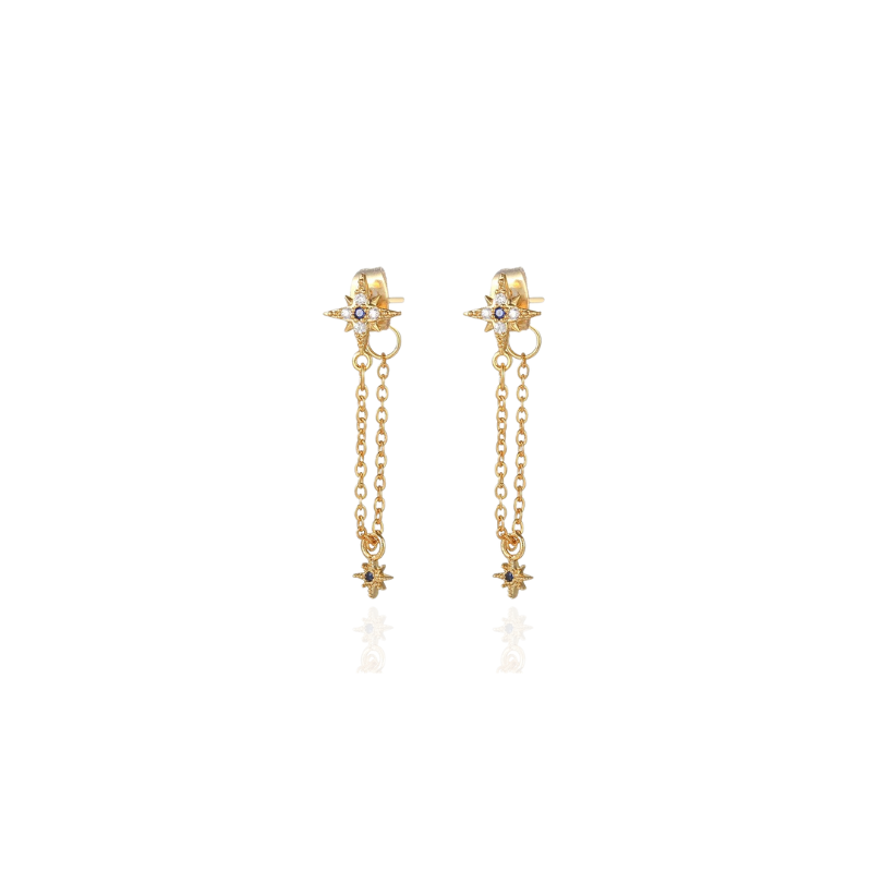 Elegant Nien Chic Earrings for a Stylish Look