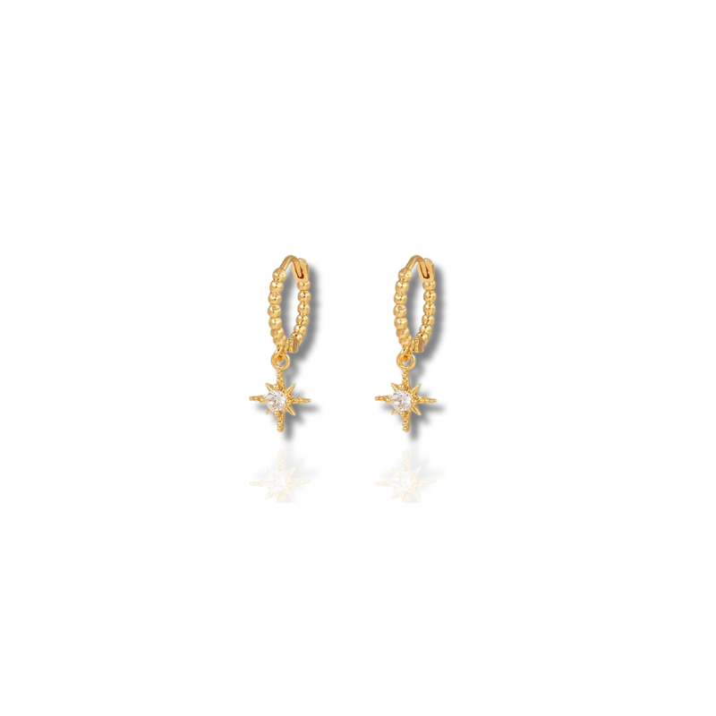 Elegant Nien Chic Earrings for a Stylish Look